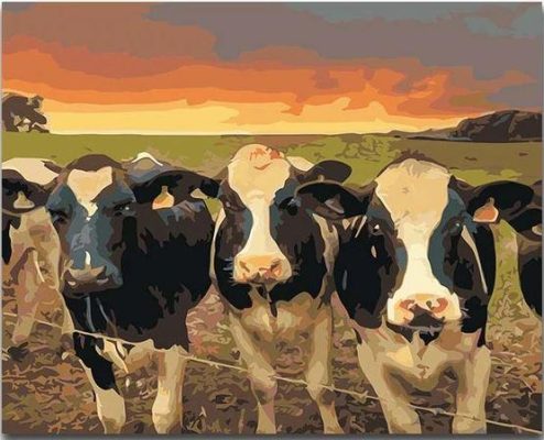A Herd of Cows Paint By Numbers