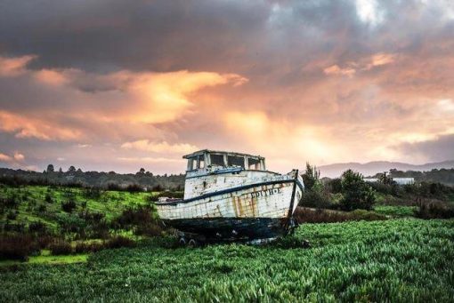 Abandoned Boat in a Field Paint By Numbers