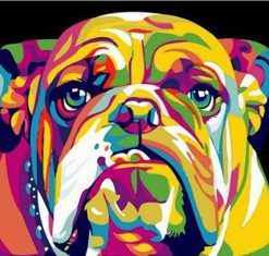 Abstract Bulldog Paint By Numbers