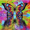 Abstract Colorful Butterfly Paint By Numbers