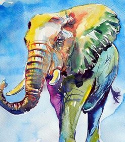 Abstract Colorful Elephant Paint By Numbers