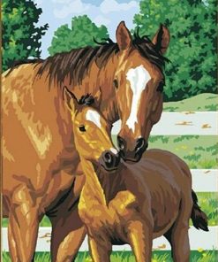 Abstract Horse and Baby Paint By Numbers