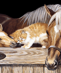 Abstract Horse and Cat Paint By Numbers