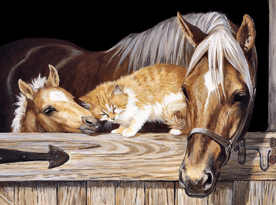 Abstract Horse and Cat Paint By Numbers