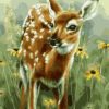 Adorable Baby Deer Paint By Numbers