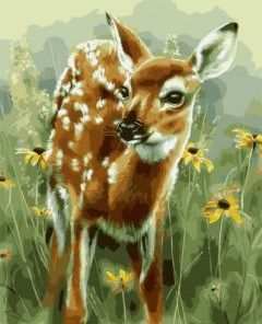 Adorable Baby Deer Paint By Numbers