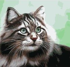 Adorable Cat Animal Paint By Numbers