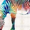 African Colorful Zebra Paint By Numbers