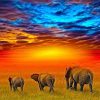 African Safari Elephants Paint By Numbers