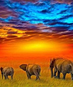 African Safari Elephants Paint By Numbers
