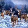 Alaska Deers Paint By Numbers