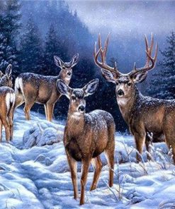 Alaska Deers Paint By Numbers