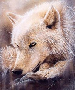 Alaskan Gray Wolf Paint By Numbers