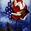 American Flag Rose Paint By Numbers