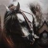 Arabic Horse Paint By Numbers