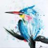 Arctic Tern Bird Paint By Numbers