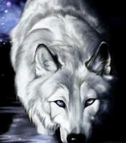 Arctic Wolf Paint By Numbers