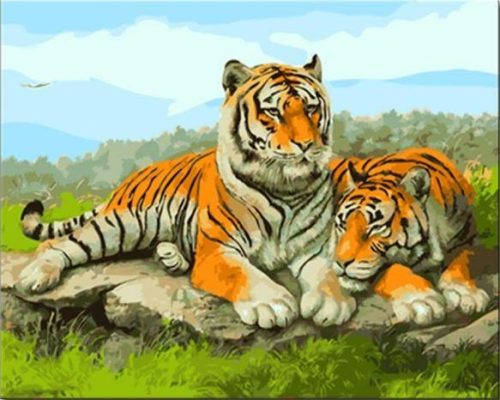 Asian Tigers Paint By Numbers