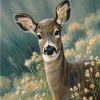 Autumn Fawn Deer Paint By Numbers