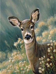 Autumn Fawn Deer Paint By Numbers