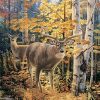 Autumn Forest Deers Paint By Numbers