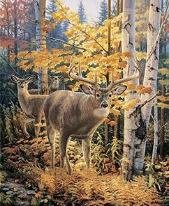 Autumn Forest Deers Paint By Numbers