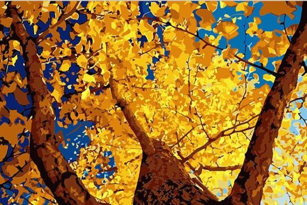 Autumn Ginkgo Paint By Numbers