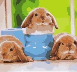 Baby Rabbits Paint By Numbers