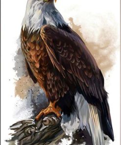 Bald Eagle on Tree Paint By Numbers
