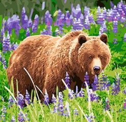 Bear in a Lavender Field Paint By Numbers
