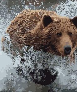 Bear on Water Paint By Numbers