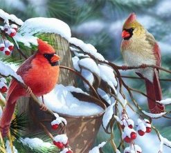 Beautiful Birds in Winter Paint By Numbers