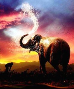 Beautiful Elephant Sunset Paint By Numbers