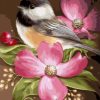 Beautiful Flowers and Birds Paint By Numbers
