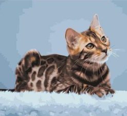 Bengal Cat Paint By Numbers