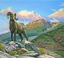 Bighorn Sheep Paint By Numbers