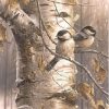 Bird Birch Tree Paint By Numbers