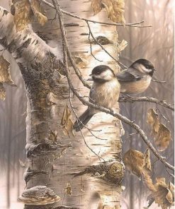 Bird Birch Tree Paint By Numbers