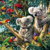 Birds & Koalas on Trees Paint By Numbers