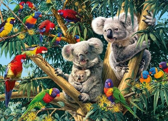 Birds & Koalas on Trees Paint By Numbers