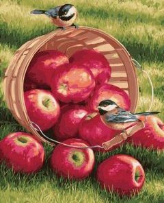 Birds on Apple Basket Paint By Numbers