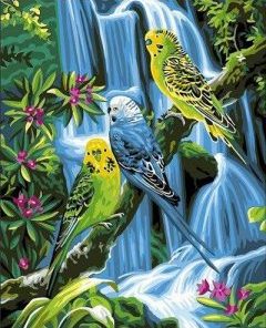 Birds on Jungle Paint By Numbers