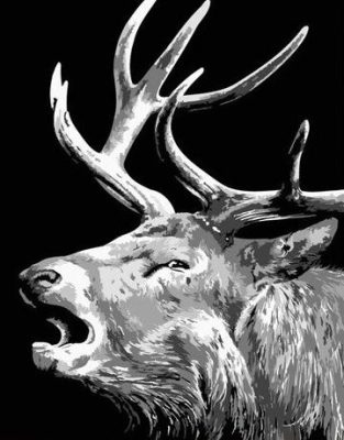 Black And White Elk Paint By Numbers