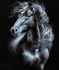 Black And White Horse Paint By Numbers