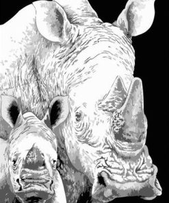 Black And White Rhino Paint By Numbers