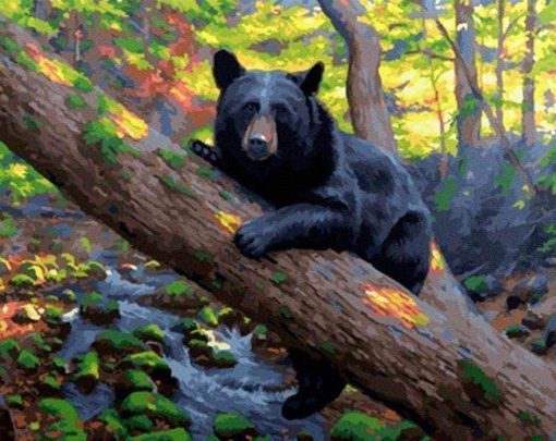 Black Bear Paint By Numbers