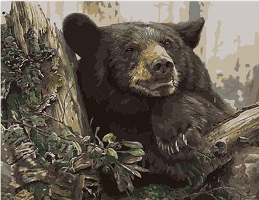 Black Bear in Forest Paint By Numbers