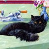 Black Cat in Bath Paint By Numbers