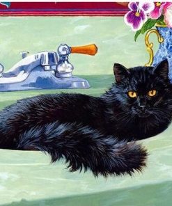 Black Cat in Bath Paint By Numbers