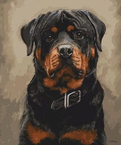 Black Dogs Paint By Numbers